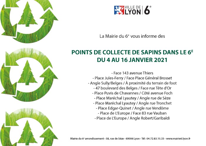 Collecte 2021 de sapins - L